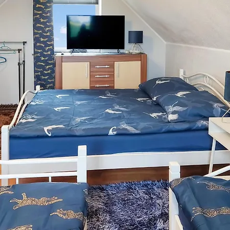 Lovely In With Wifi Zastan